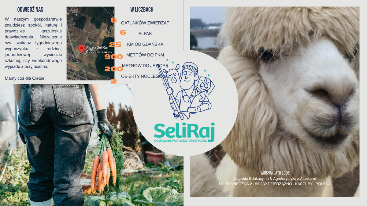 SeliRaj brochure page: the farm in numbers, with 6 alpacas, 25 km from Gdańsk and 200 m from the lake
