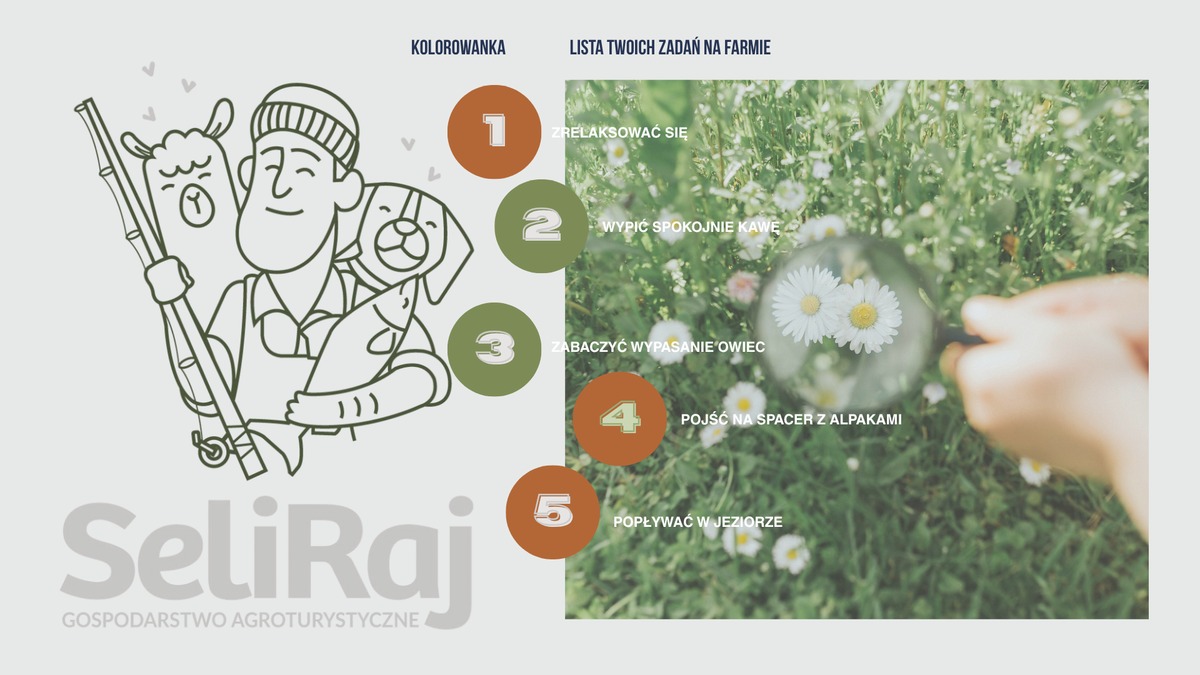 SeliRaj colouring page and a list of things to do on the farm, including a walk with the alpacas
